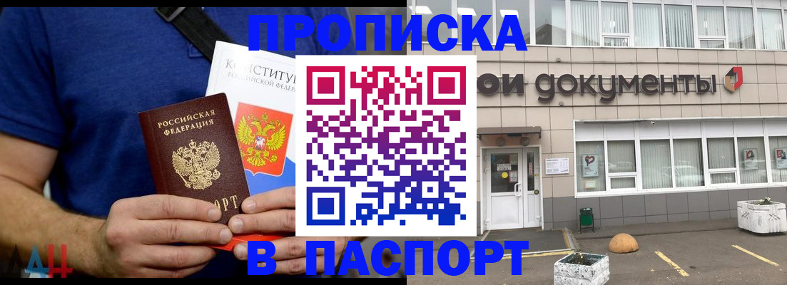 прописка паспорт в Курской области
